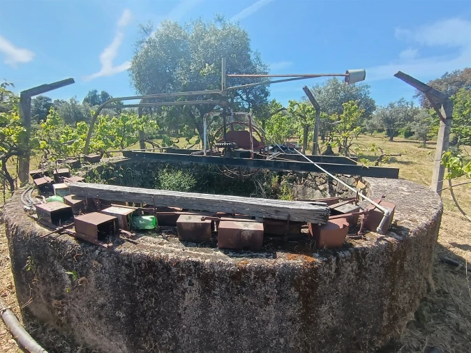Quinta T0 para Venda em Proença-A-Velha Foto 54