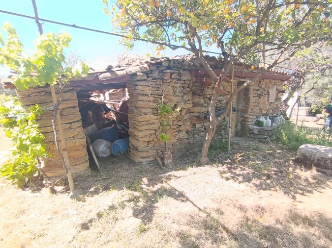 Quinta T0 para Venda em Proença-A-Velha Foto 77