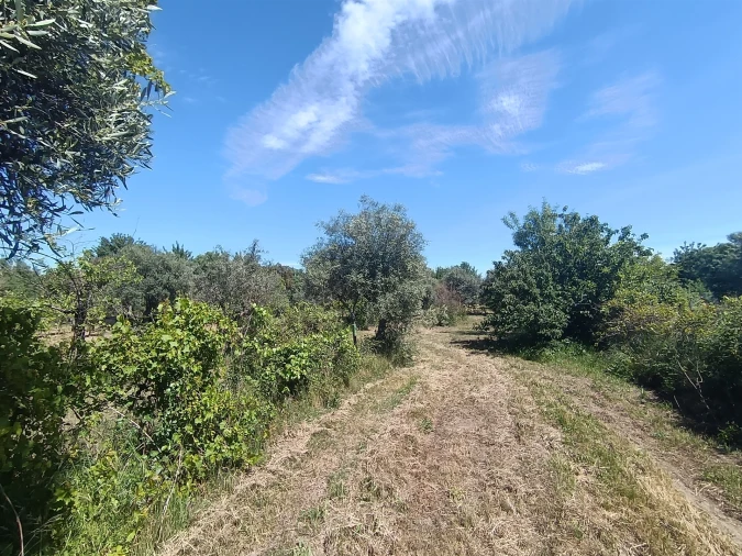 Quinta T0 para Venda em Proença-A-Velha Foto 49