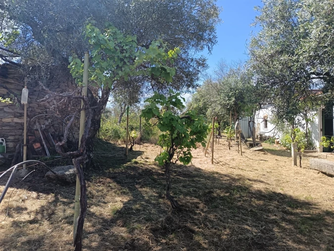 Quinta T0 para Venda em Proença-A-Velha Foto 60