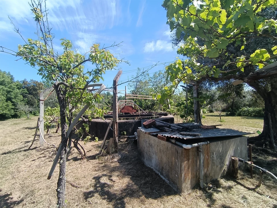 Quinta T0 para Venda em Proença-A-Velha Foto 93