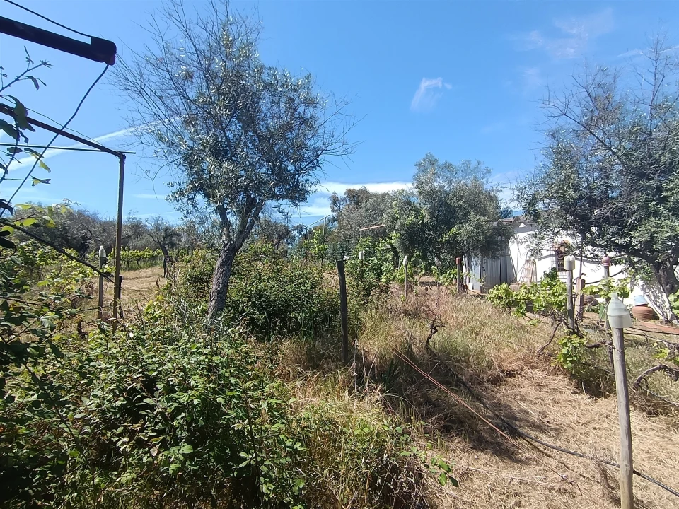 Quinta T0 para Venda em Proença-A-Velha Foto 40