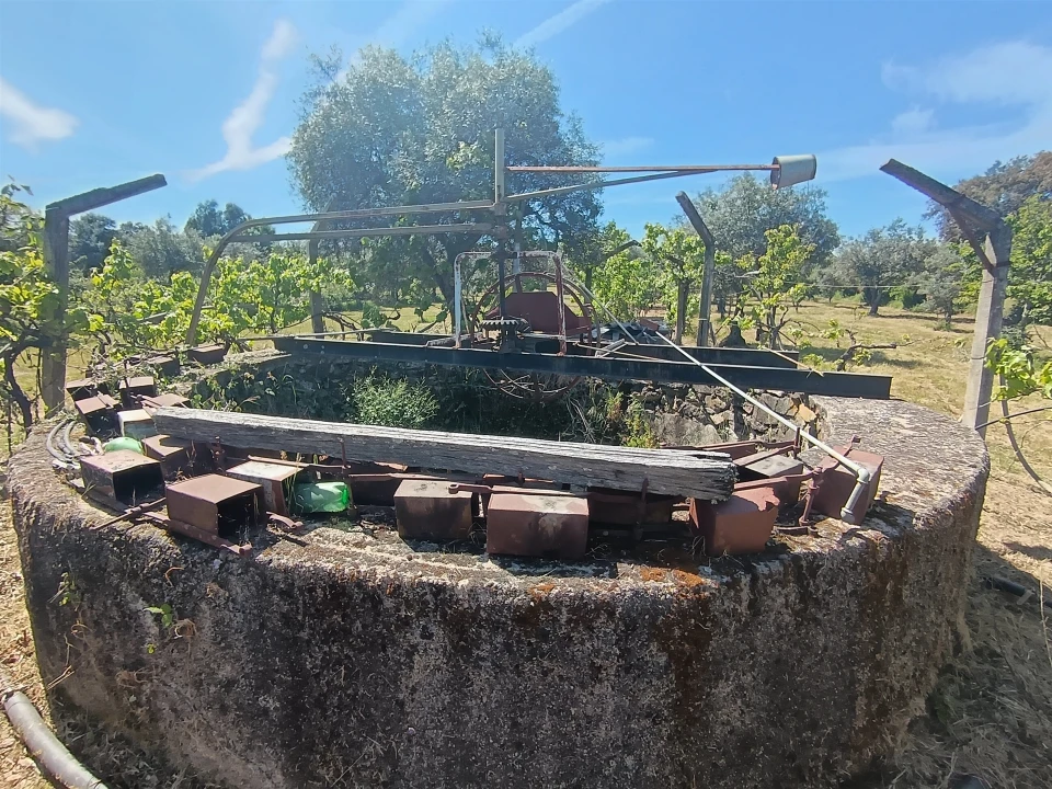 Quinta T0 para Venda em Proença-A-Velha Foto 54