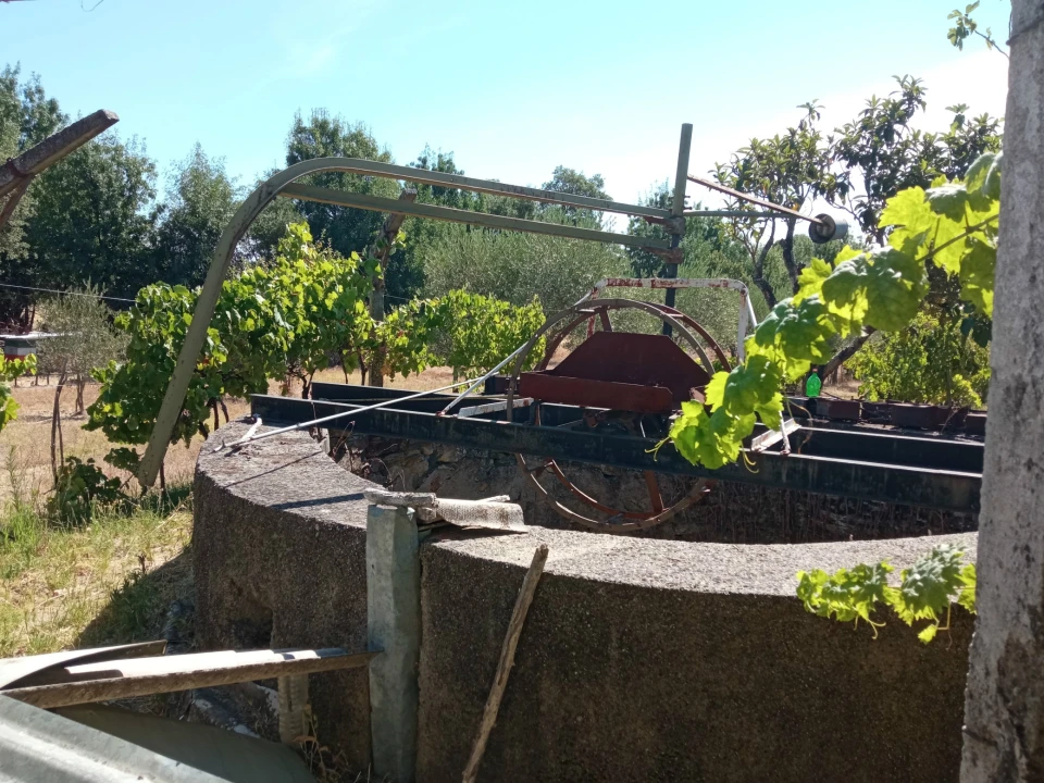 Quinta T0 para Venda em Proença-A-Velha Foto 5