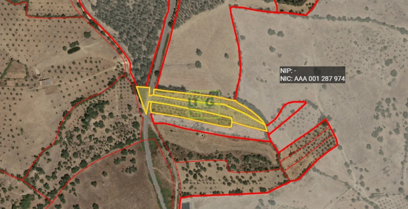 Quinta T0 para Venda em Proença-A-Velha Foto 26