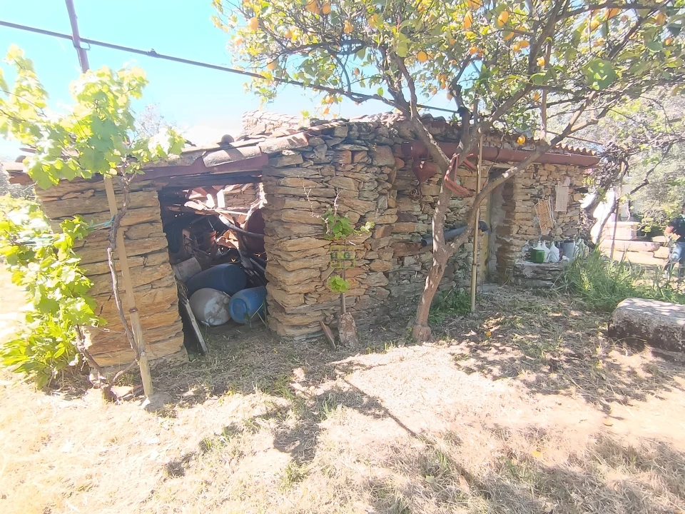 Quinta T0 para Venda em Proença-A-Velha Foto 77