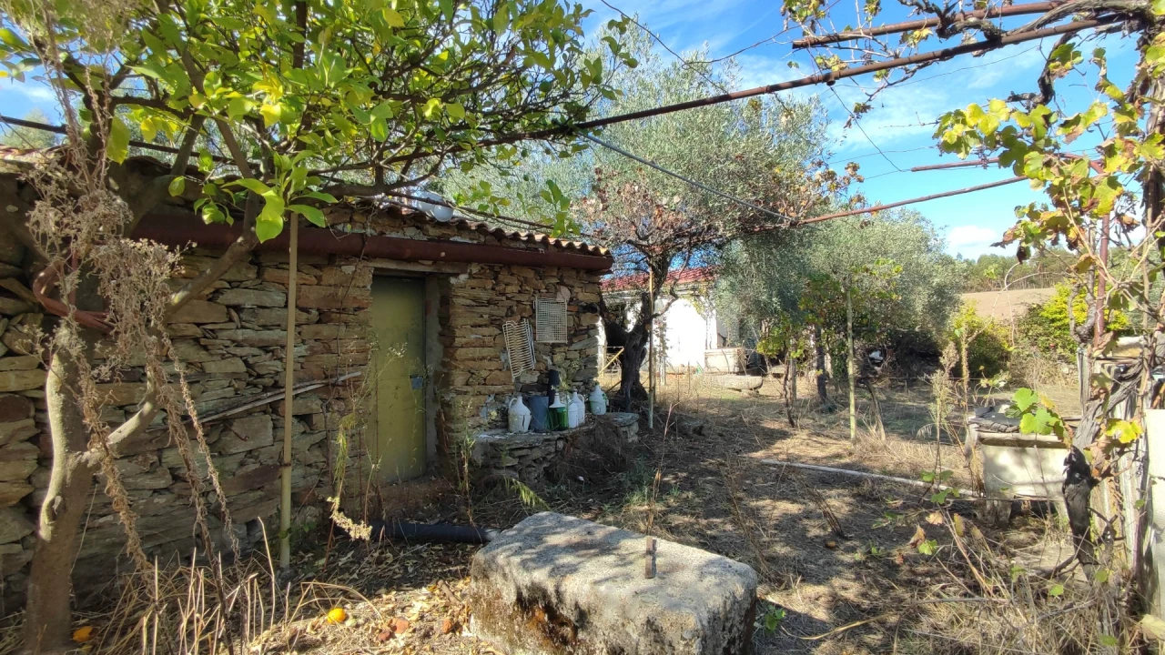 Quinta T0 para Venda em Proença-A-Velha Foto 20
