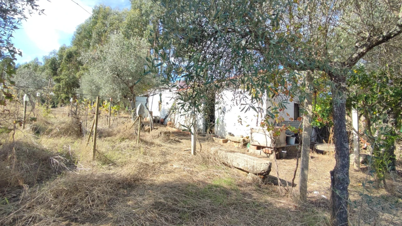 Quinta T0 para Venda em Proença-A-Velha Foto 7