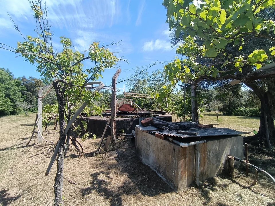 Quinta T0 para Venda em Proença-A-Velha Foto 94