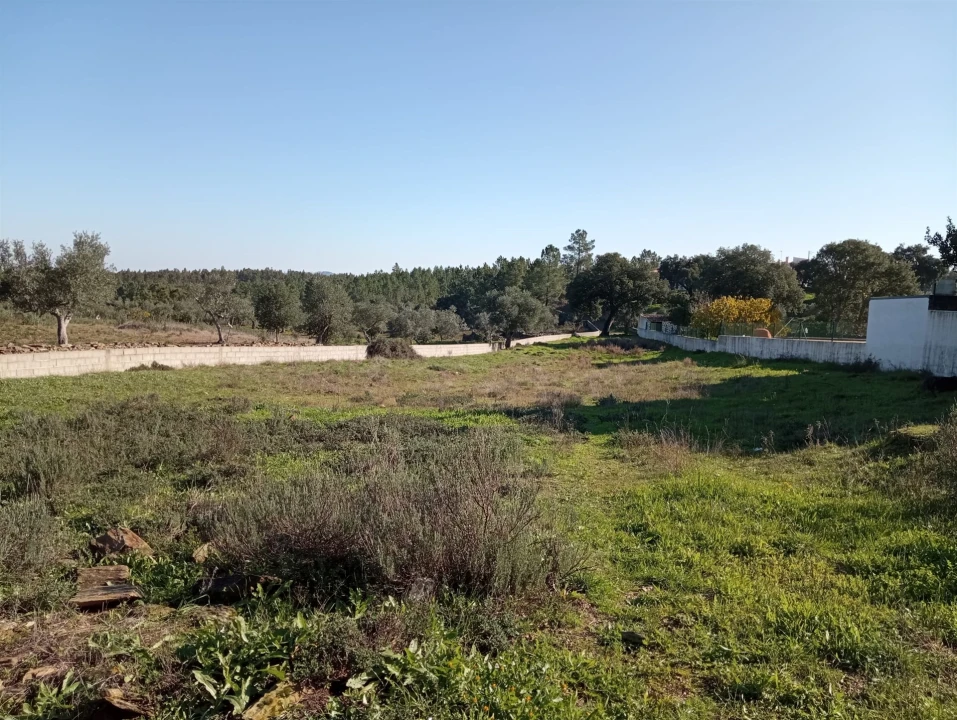Terreno para Venda em Benquerenças Foto 15