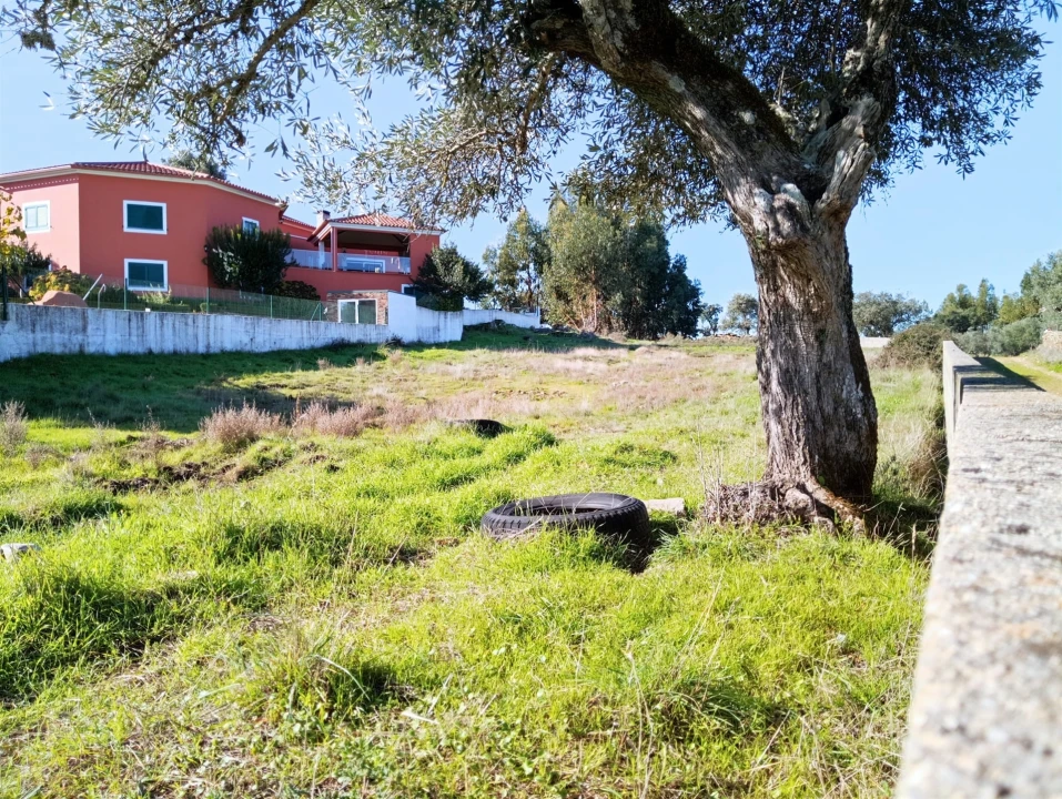 Terreno para Venda em Benquerenças Foto 1