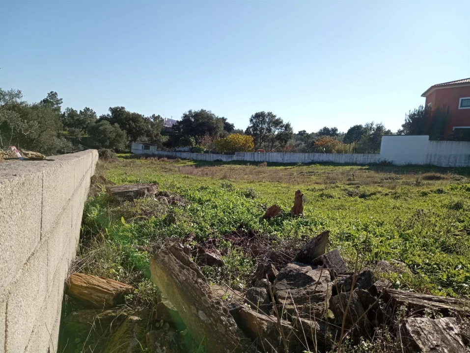 Terreno para Venda em Benquerenças Foto 19