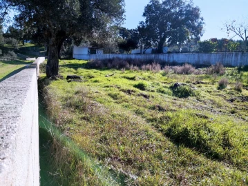 Terreno para Venda em Benquerenças