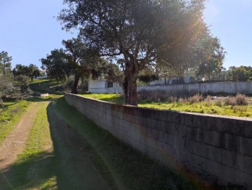Terreno para Venda em Benquerenças