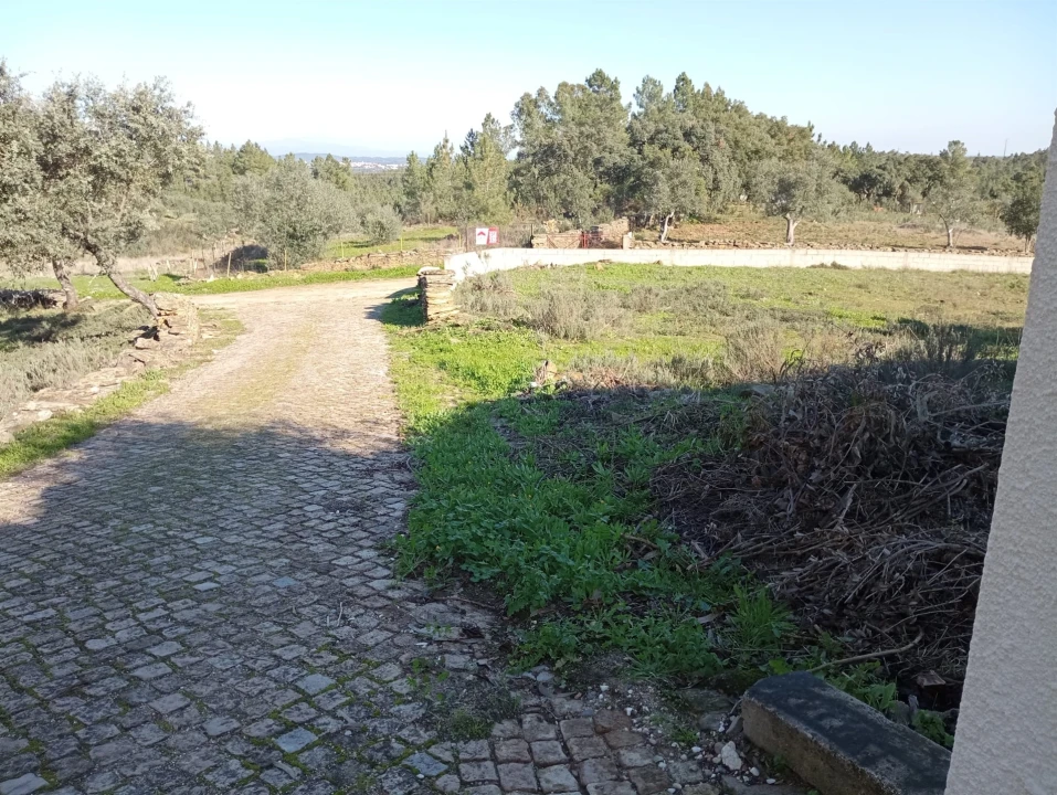 Terreno para Venda em Benquerenças Foto 12