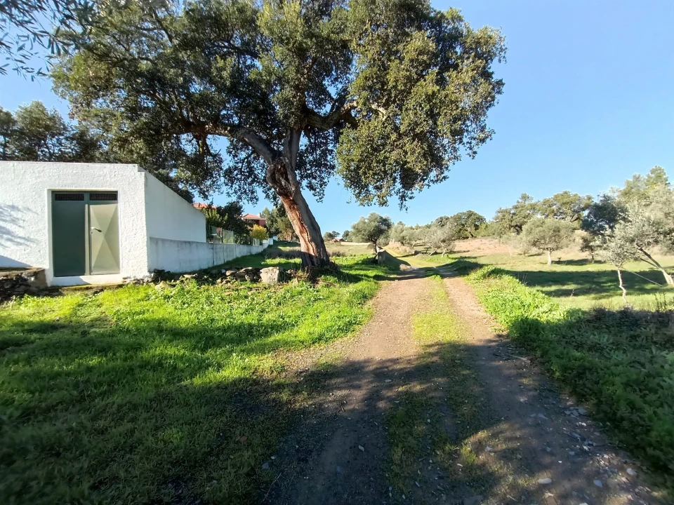 Terreno para Venda em Benquerenças Foto 7
