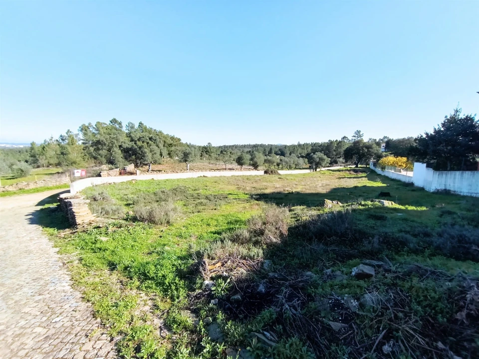 Terreno para Venda em Benquerenças Foto 10