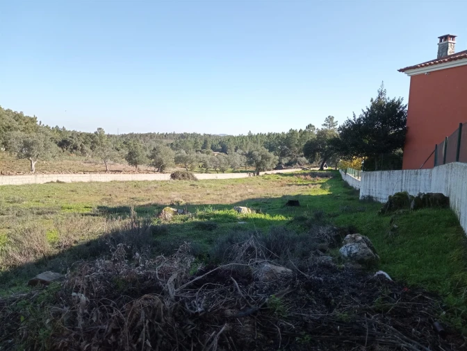 Terreno para Venda em Benquerenças Foto 11