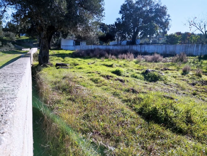 Terreno para Venda em Benquerenças Foto 26