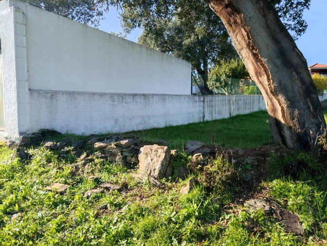 Terreno para Venda em Benquerenças Foto 6