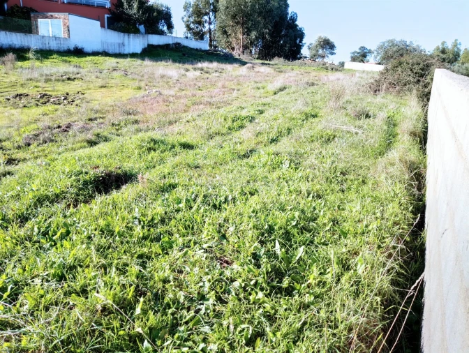 Terreno para Venda em Benquerenças Foto 24