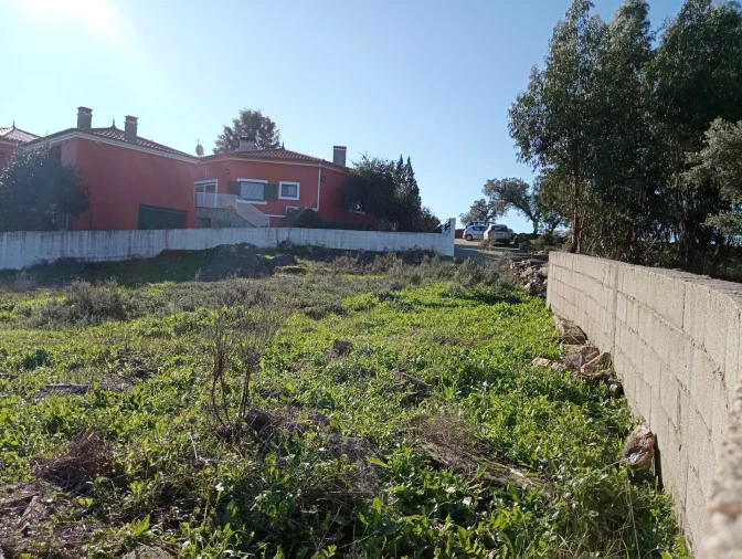 Terreno para Venda em Benquerenças Foto 20
