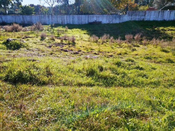Terreno para Venda em Benquerenças Foto 25