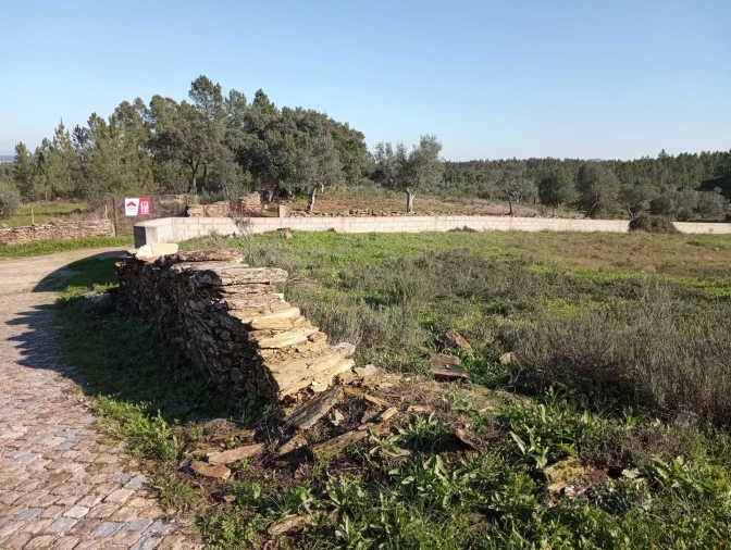 Terreno para Venda em Benquerenças Foto 14