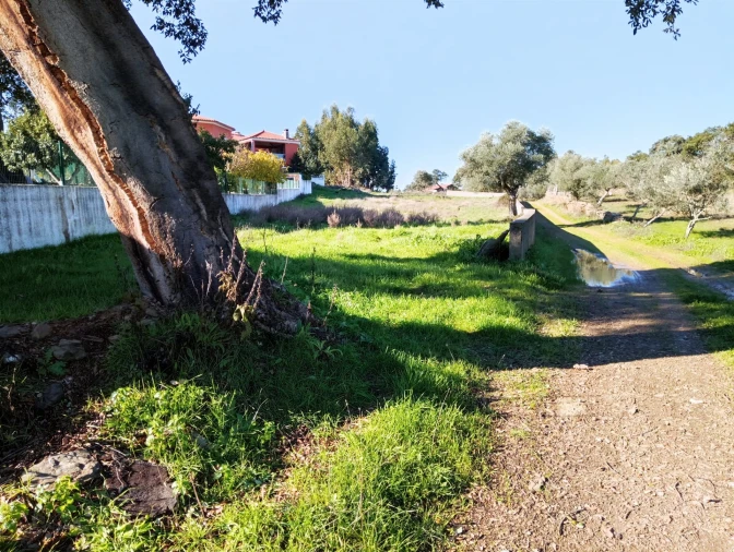 Terreno para Venda em Benquerenças Foto 5