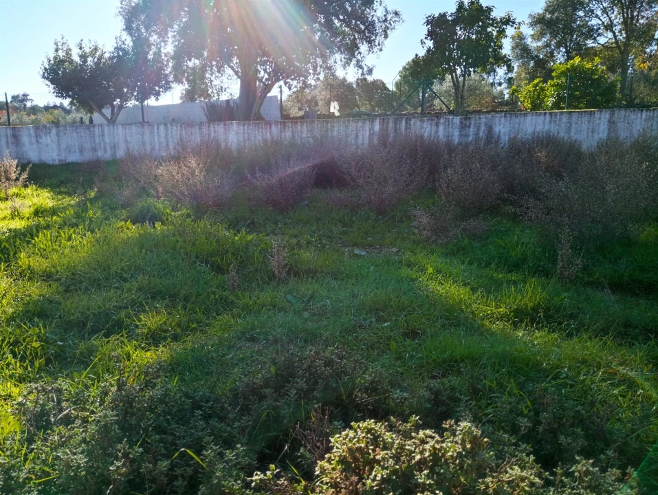 Terreno para Venda em Benquerenças Foto 4