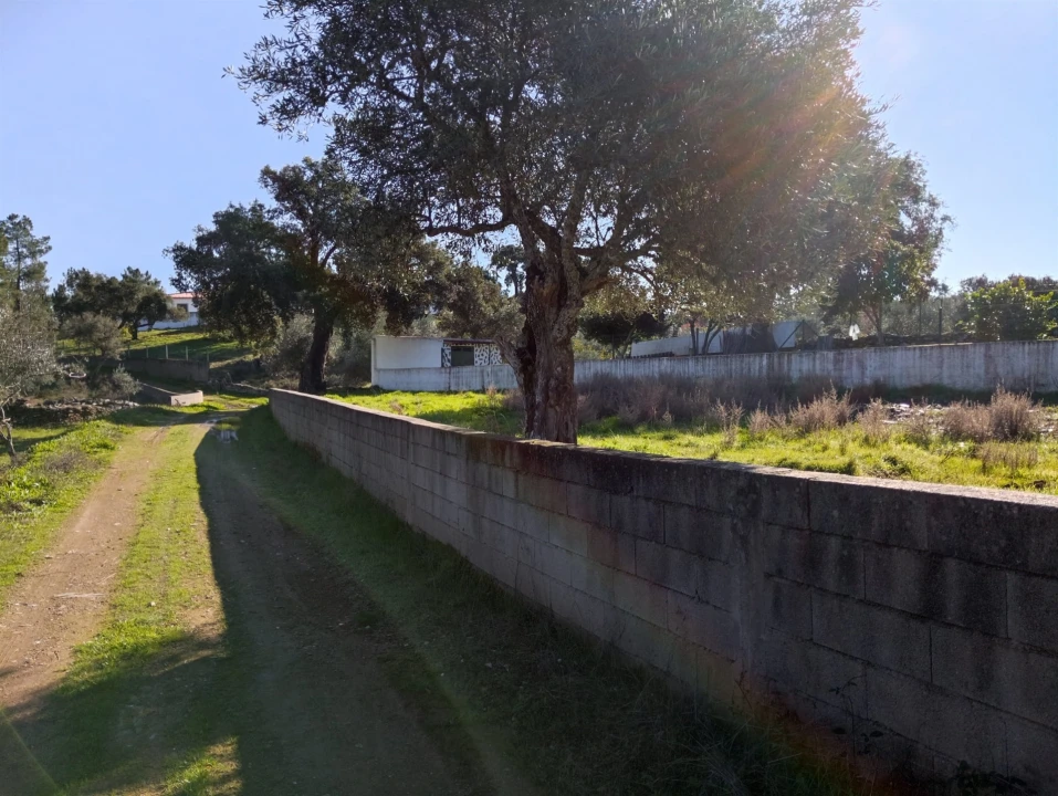 Terreno para Venda em Benquerenças Foto 27