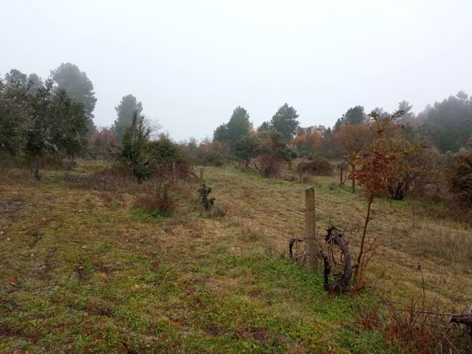Terreno Agricola ou Rústico para Venda em Penamacor Foto 6