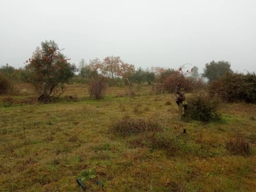 Terreno Agricola ou Rústico para Venda em Penamacor