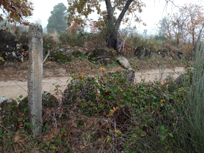 Terreno Agricola ou Rústico para Venda em Penamacor Foto 14