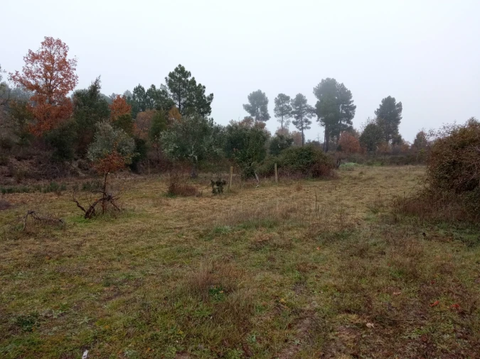Terreno Agricola ou Rústico para Venda em Penamacor Foto 5