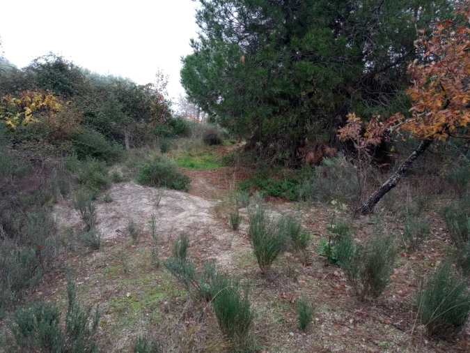 Terreno Agricola ou Rústico para Venda em Penamacor Foto 8