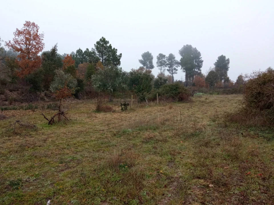 Terreno Agricola ou Rústico para Venda em Penamacor Foto 5