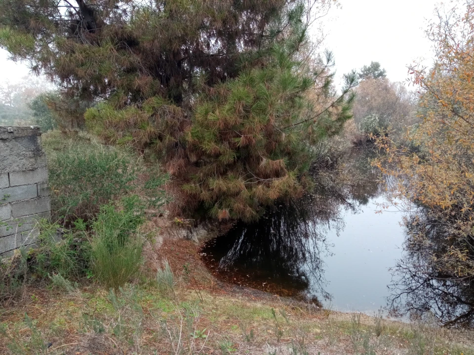 Terreno Agricola ou Rústico para Venda em Penamacor Foto 12