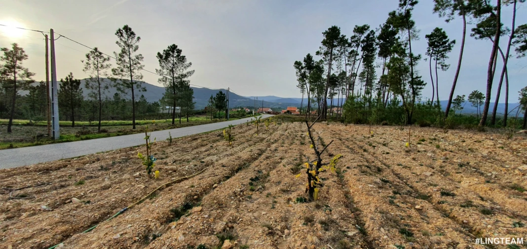 Moradia T3 para Venda em Santo Andre das Tojeiras Foto 57