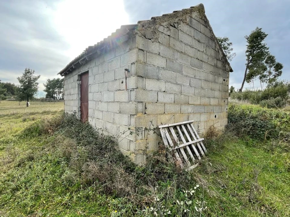 Quinta T1 para Venda em Orca Foto 12