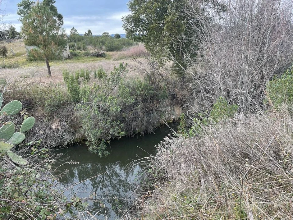 Quinta T1 para Venda em Orca Foto 20