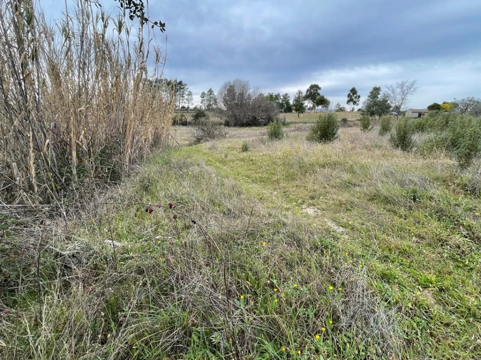 Quinta T1 para Venda em Orca Foto 38