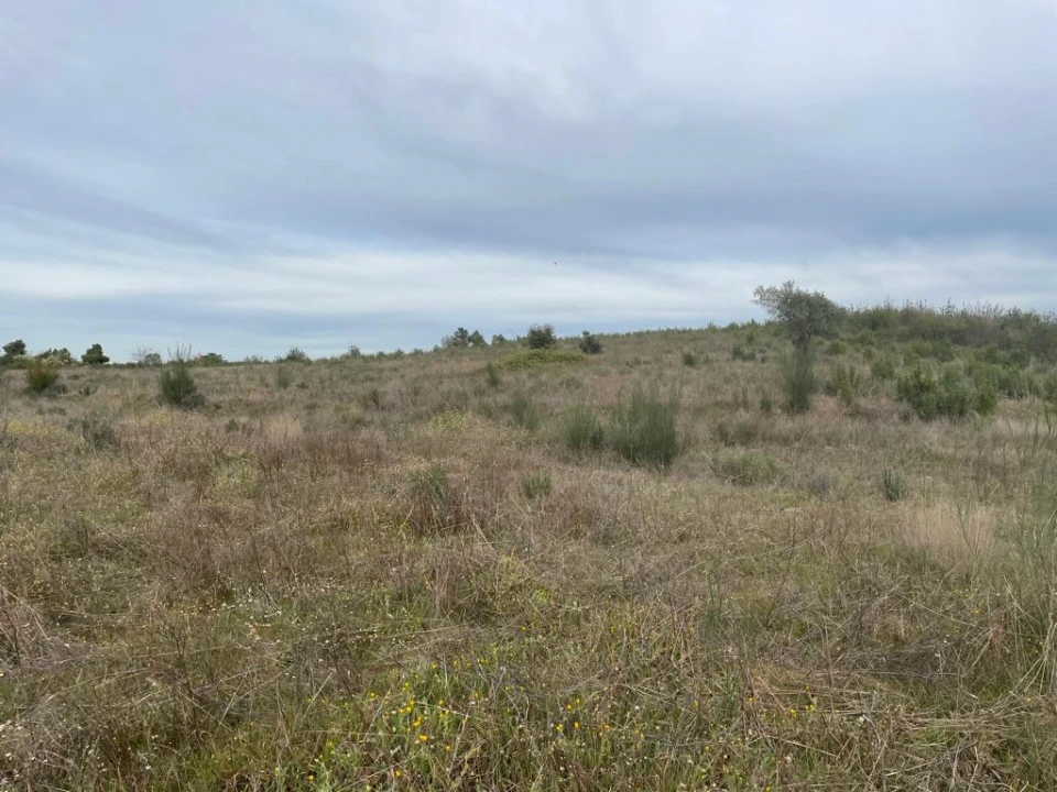 Quinta T1 para Venda em Orca Foto 25