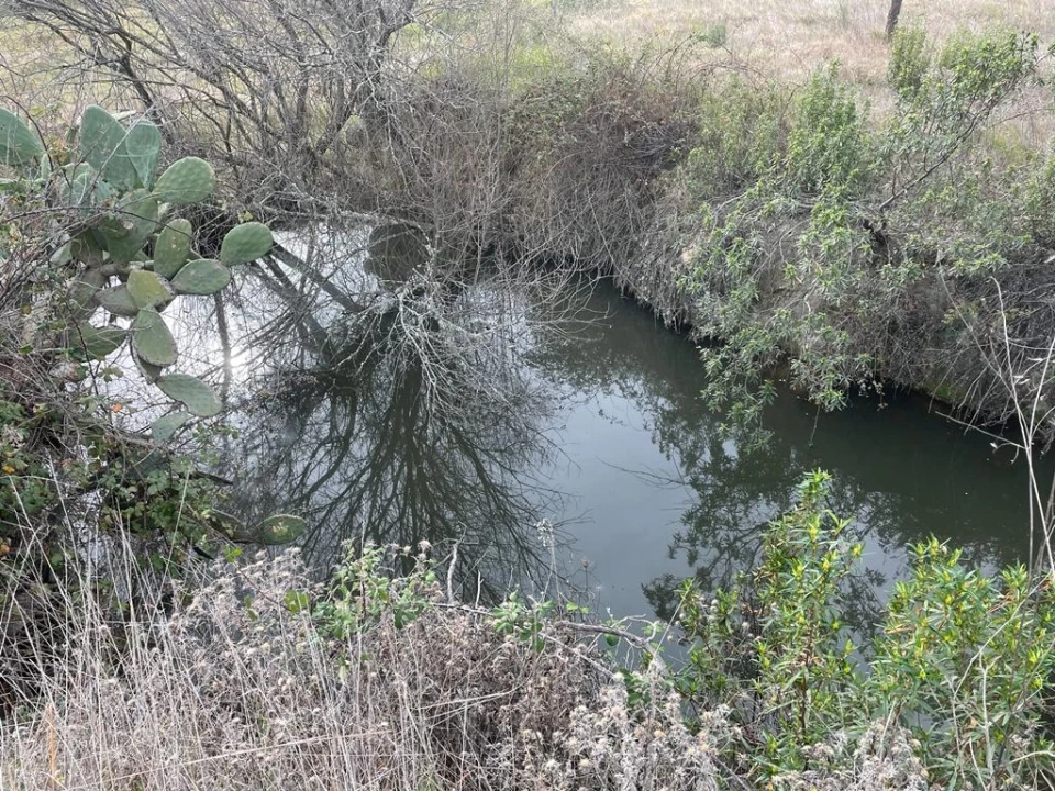 Quinta T1 para Venda em Orca Foto 22