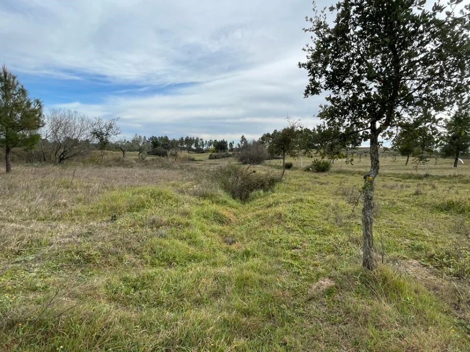 Quinta T1 para Venda em Orca Foto 10