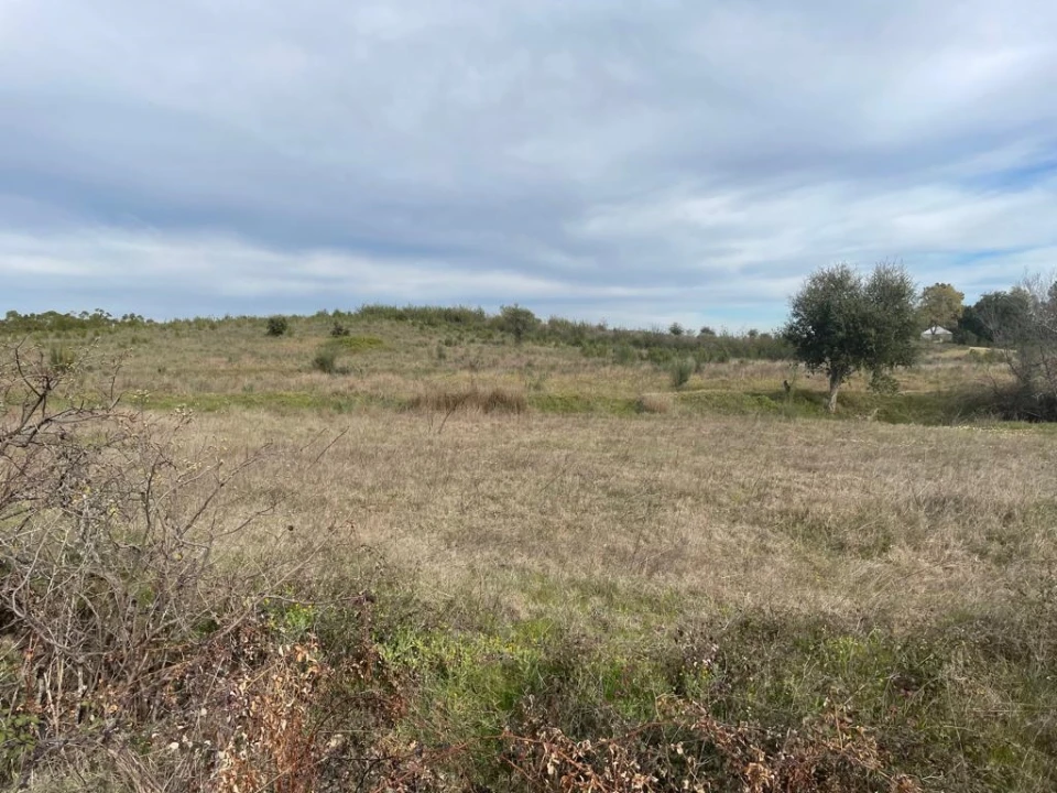 Quinta T1 para Venda em Orca Foto 2