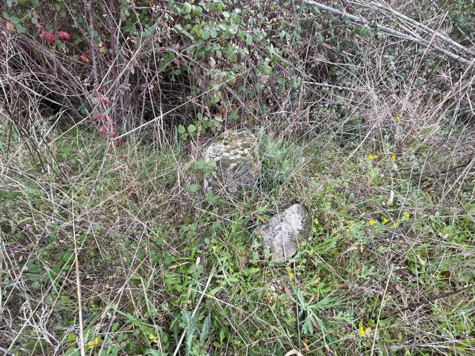 Quinta T1 para Venda em Orca Foto 39