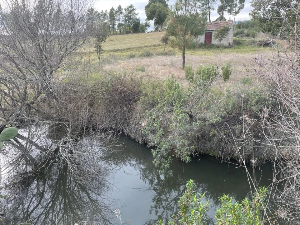 Quinta T1 para Venda em Orca Foto 21