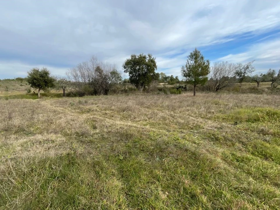 Quinta T1 para Venda em Orca Foto 11