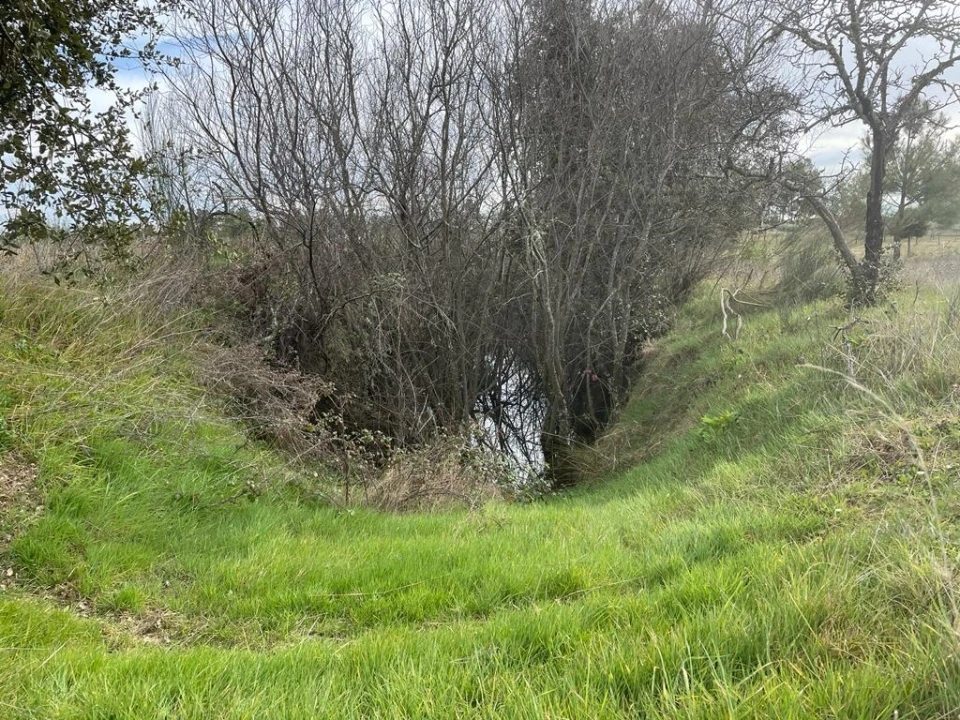 Quinta T1 para Venda em Orca Foto 17